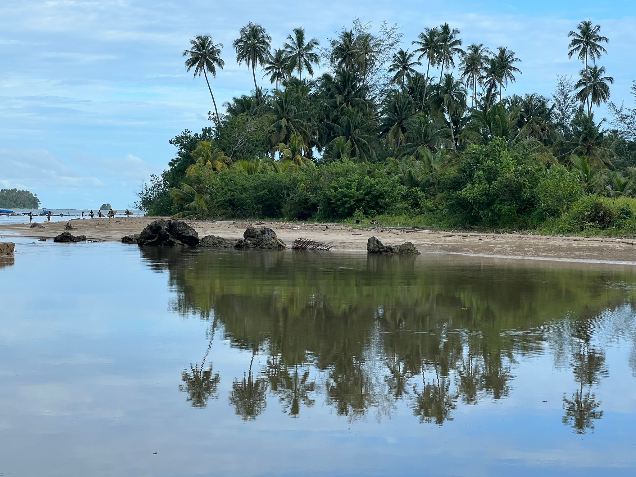 Palm trees near the sea on Nias Island