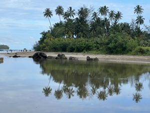 Palm trees near the sea on Nias Island